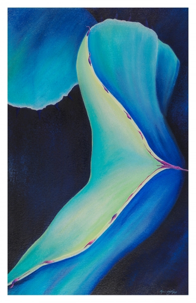 Blue Agave by Marcia J Popp
