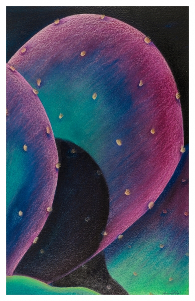 Purple Prickly Pear by Marcia J Popp