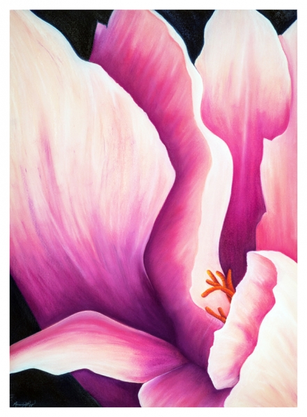 Blush by Marcia J Popp