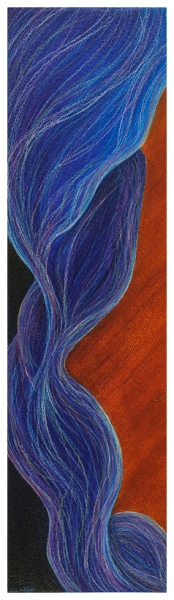 Blue and Orange Iris by Marcia J Popp