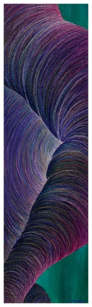 Purple and Green Iris by Marcia J Popp