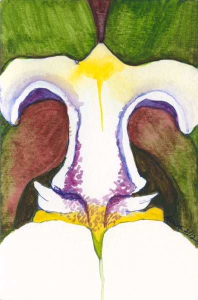 Orchid II by Marcia J Popp