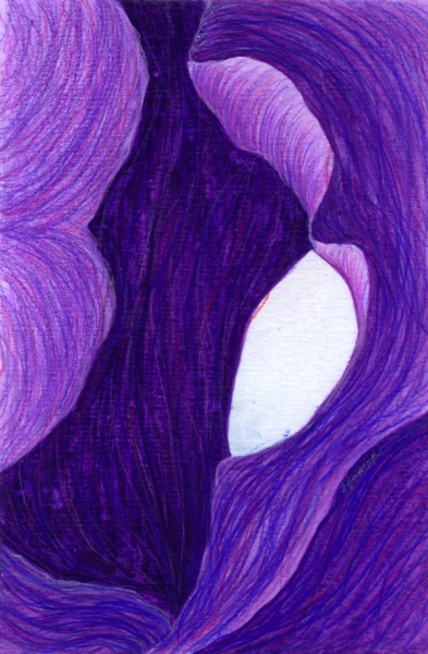 Purple Iris by Marcia J Popp