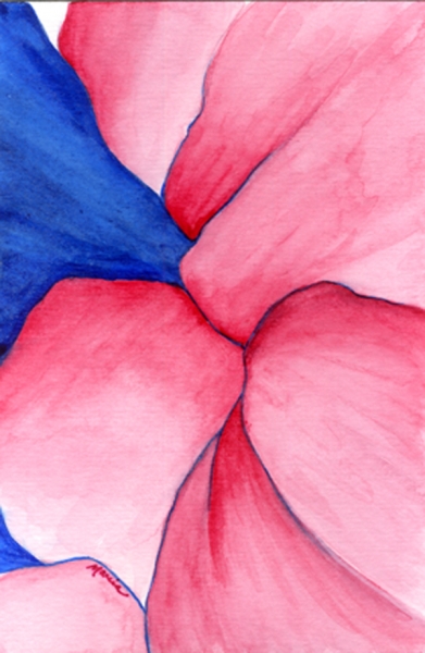 Pink & Blue by Marcia J Popp