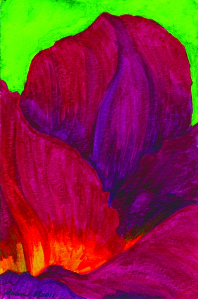 Red Hibiscus I by Marcia J Popp