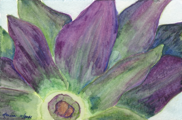 Purple Artichoke by Marcia J Popp