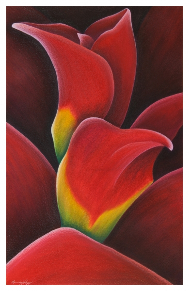 Ruby Calyx by Marcia J Popp