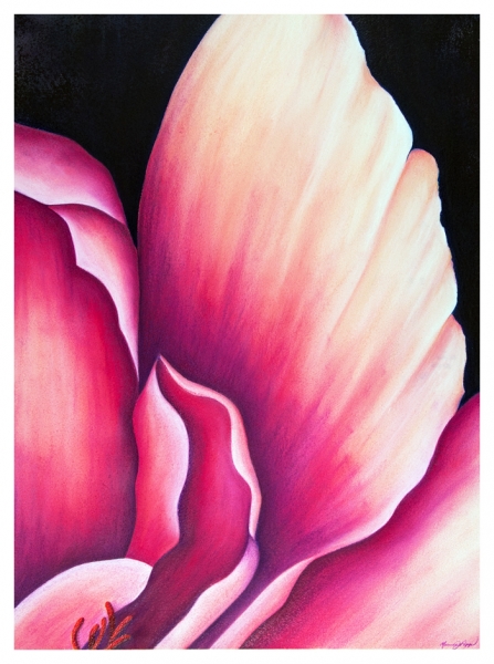 Blush Too by Marcia J Popp