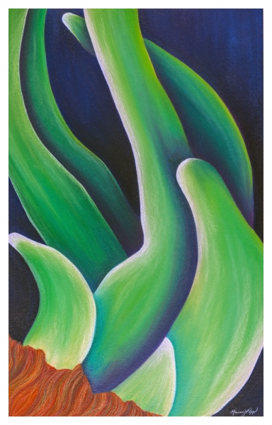 Sprouts by Marcia J Popp